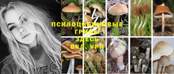 крисы Лагань