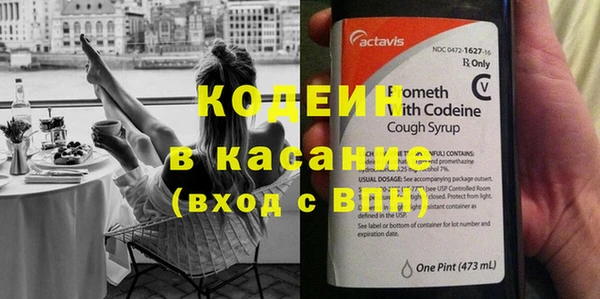 крисы Лагань