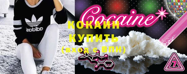 крисы Лагань
