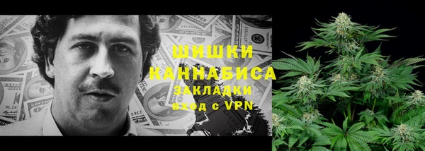 ПСИЛОЦИБИНОВЫЕ ГРИБЫ Великий Новгород