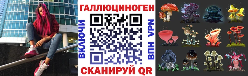 Купить где  Камешково  Псилоцибиновые грибы прущие грибы 